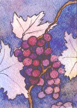 Grapes Of WRAP I Ginny Bores Madison WI watercolor & ink